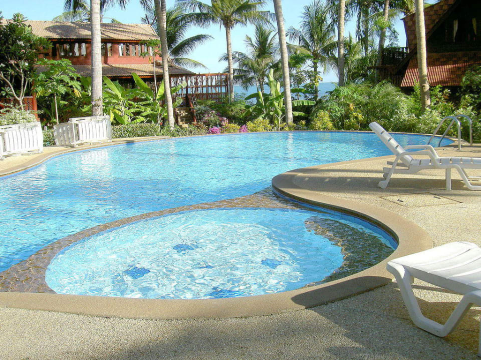 Swimming Pool Coconut River Coconut River Haus R2
