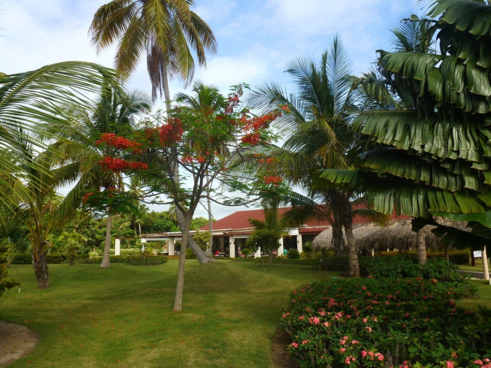 Gourmet & La Chanterelle TRS Turquesa Hotel - Adults only