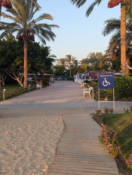 Gartenanlage Desert Rose