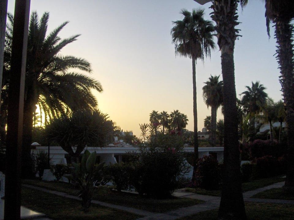 Ausblick Morgens HL Miraflor Suites Hotel