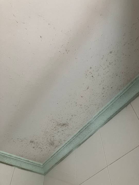 Sonstiges Duque Nest Hostel