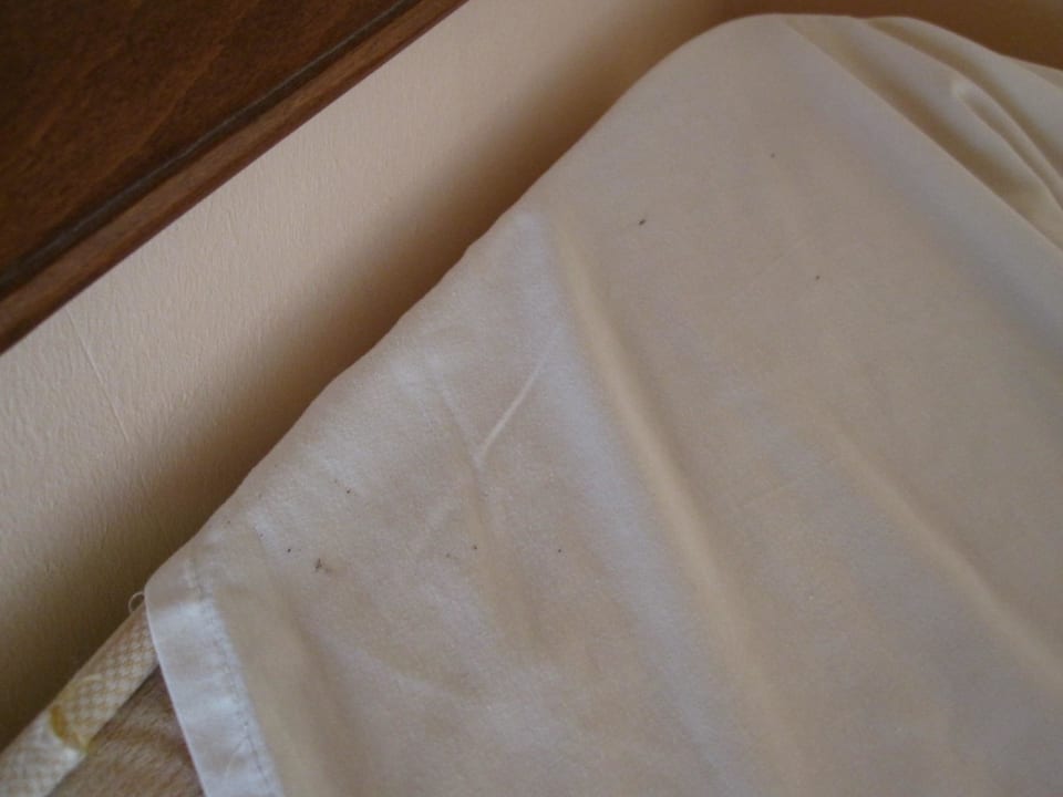 Betthygiene Shams Alam Beach Resort