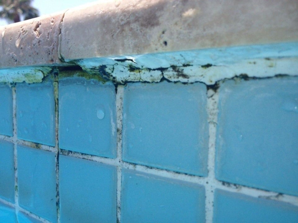 Schimmel Arycanda Kirman Premium