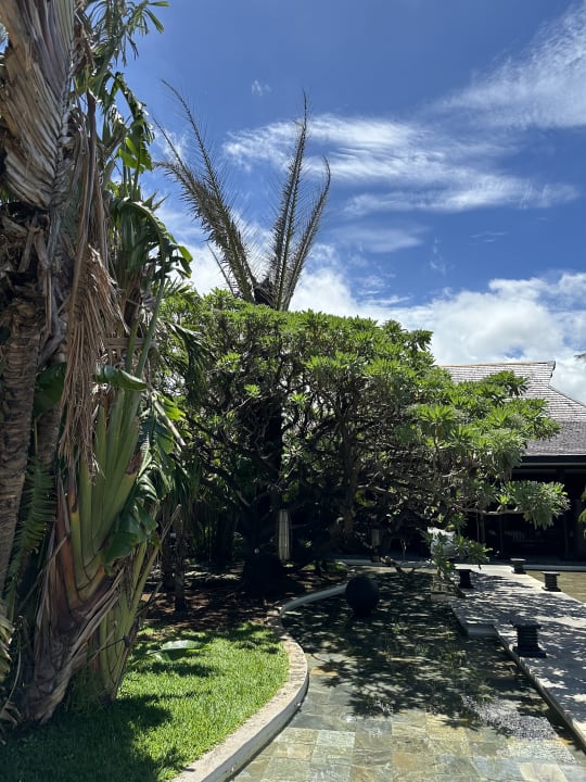 Gartenanlage Palm Hotel & Spa