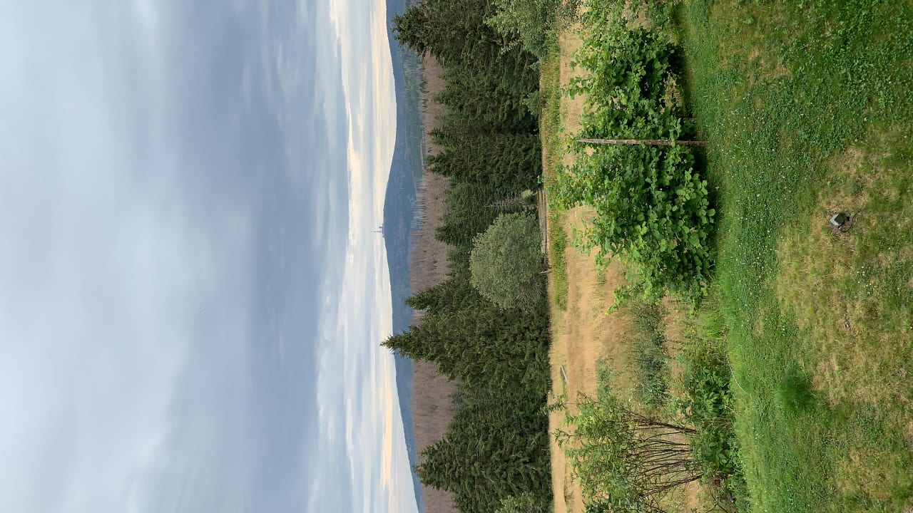 Ausblick Torfhaus Harzresort