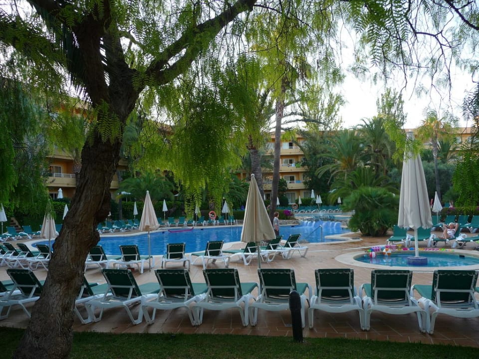 Piscine Zafiro Palmanova