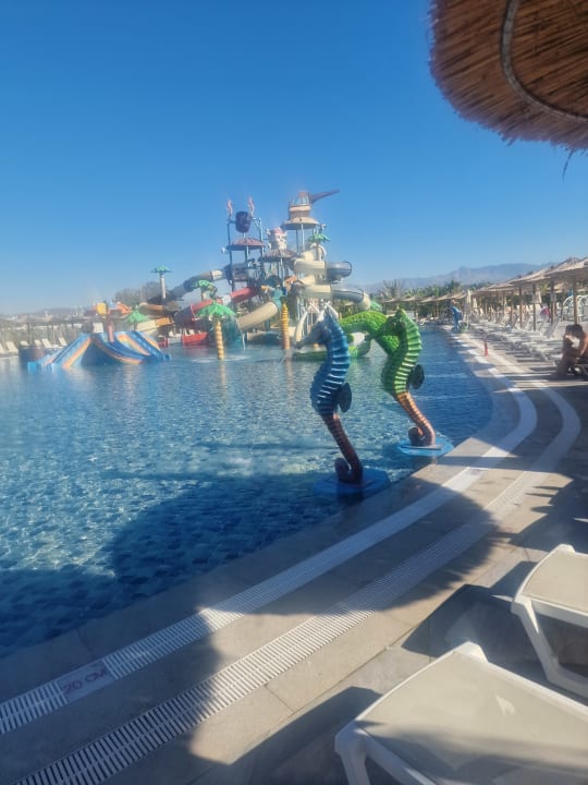 Pool Dream Fun World