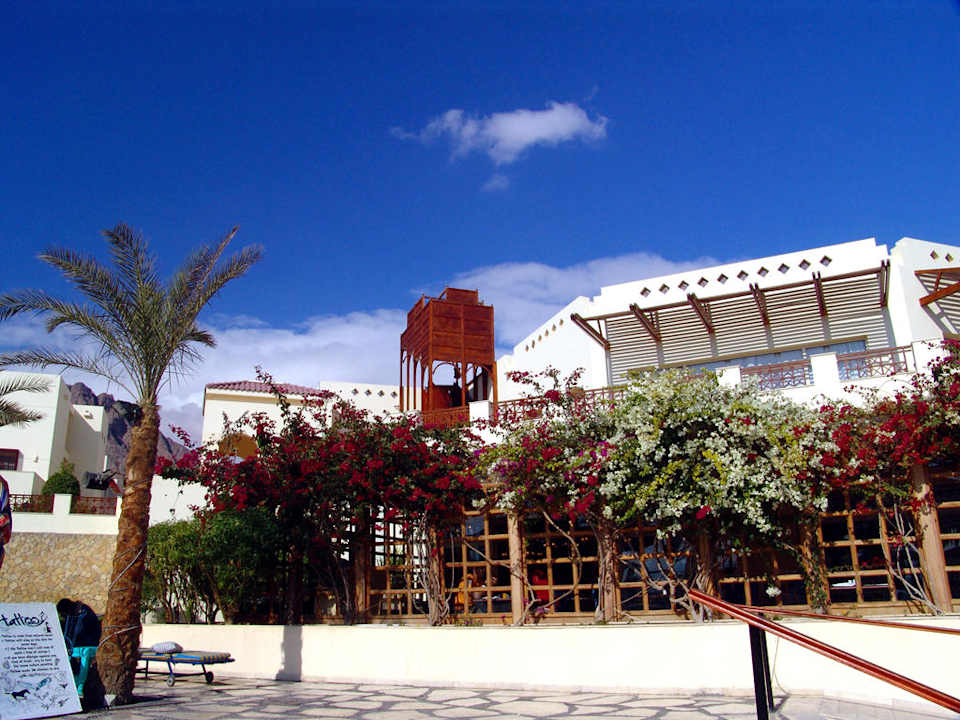 am Pool Aquis Taba Paradise Resort
