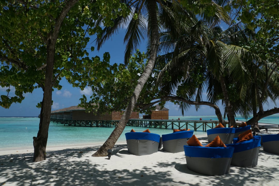 Gastro Meeru Maldives Resort Island