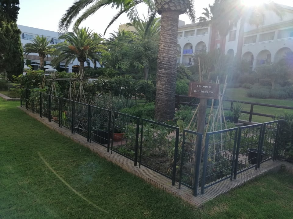 Gartenanlage Fuerte Costa Luz (Fuerte Conil-Resort)