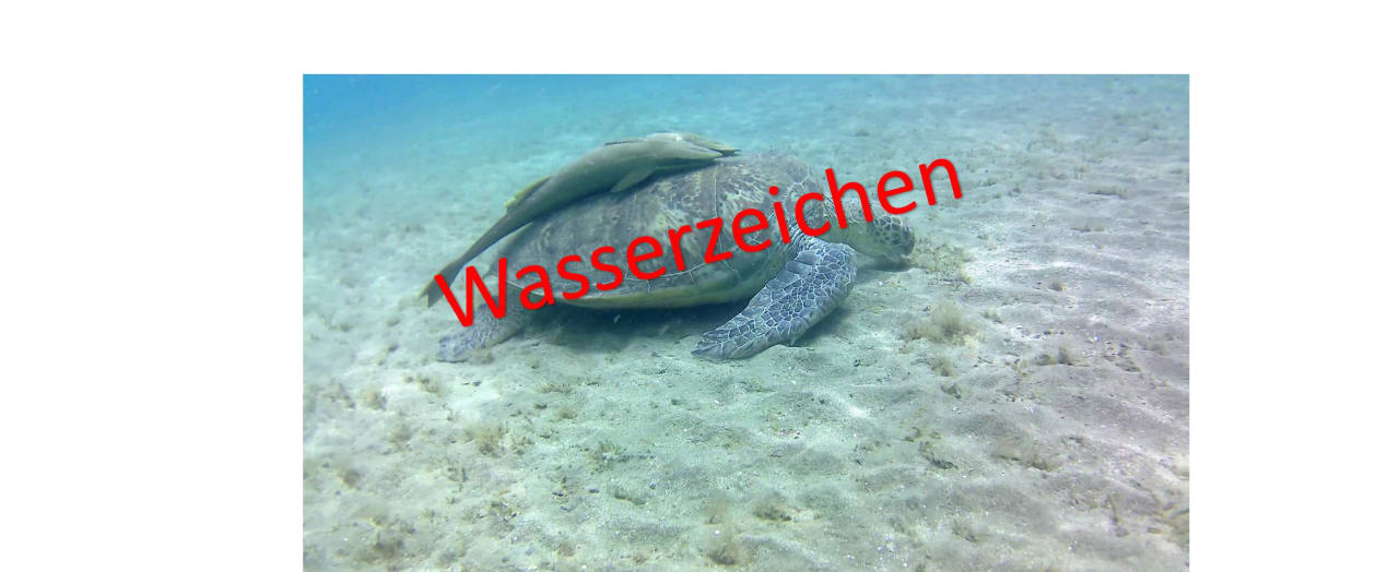 Strand Malikia Resort Abu Dabbab