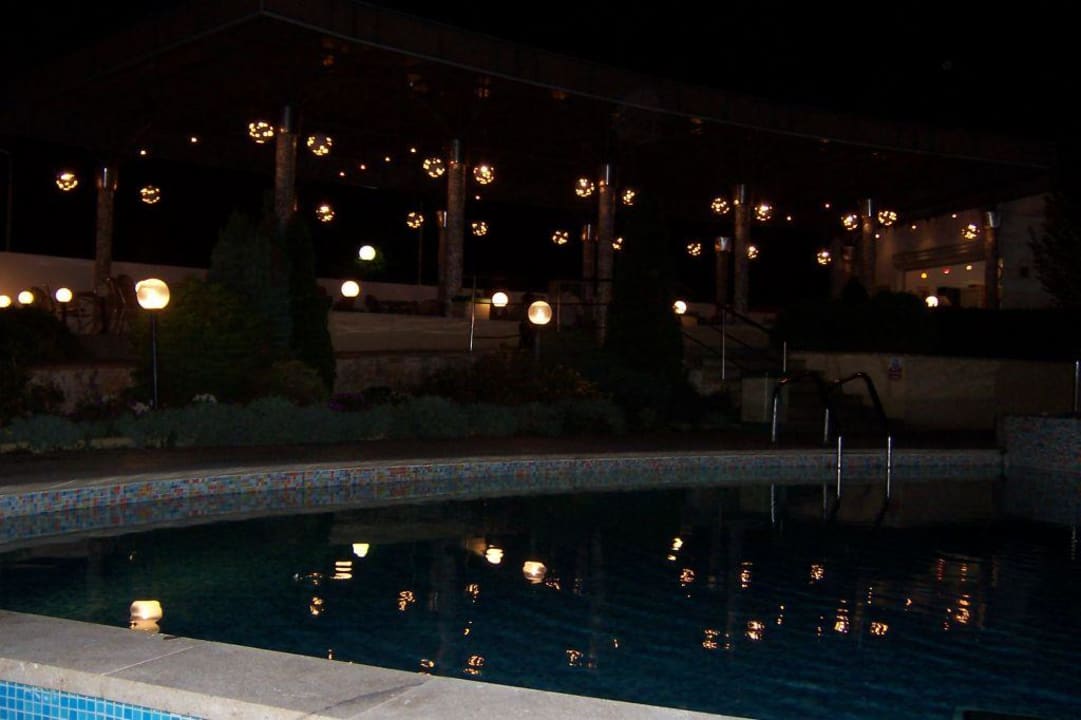 Poolbar im Hotel .Com .Com Hotel