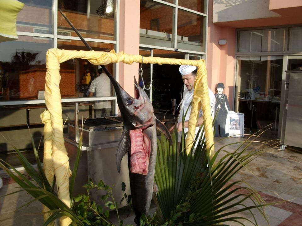 Köstliches aus dem Meer Royal Atlantis Beach Hotel