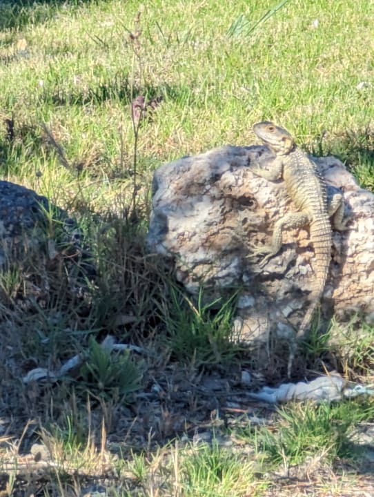 Gartenanlage Hotel Kouros Palace