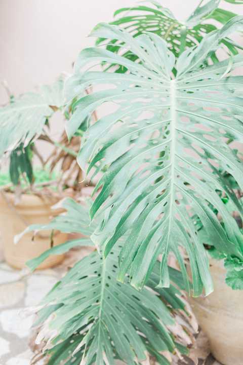 Außenansicht Afroditi Pansion