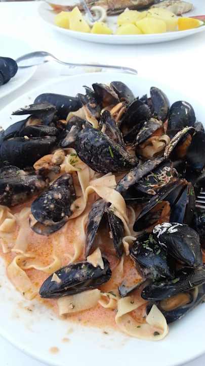 Eines von 3Hauptgerichten bei Halbpension Pension Gasthaus Villa Anka