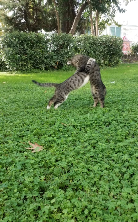 Sonstiges Labranda Alantur Resort