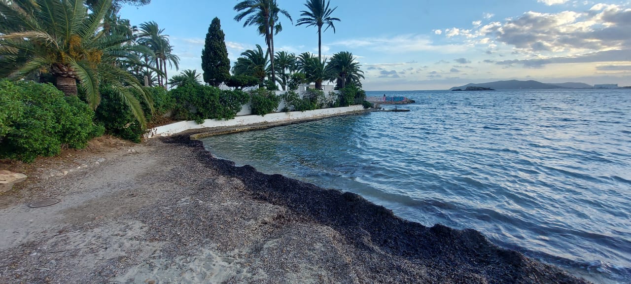 Strand THB Los Molinos - Adults only