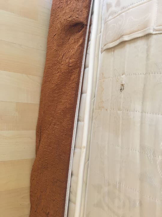 Zimmer Hotel Orfeus Park