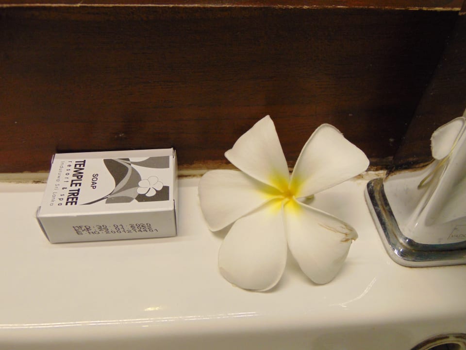 Zimmer Temple Tree Resort & Spa