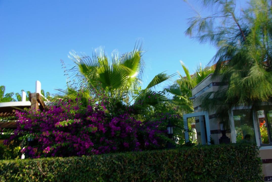 Am 25.10.2012 Sunis Evren Beach Resort Hotel & Spa