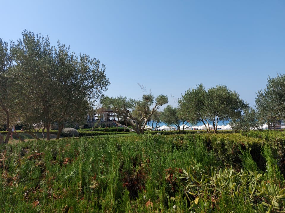 Außenansicht Simantro Resort