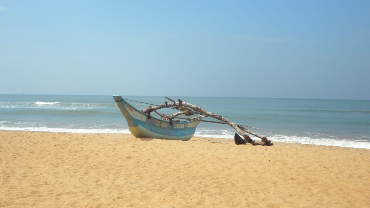 Blick von der Hotelliege zum Strand Mermaid Hotel & Club