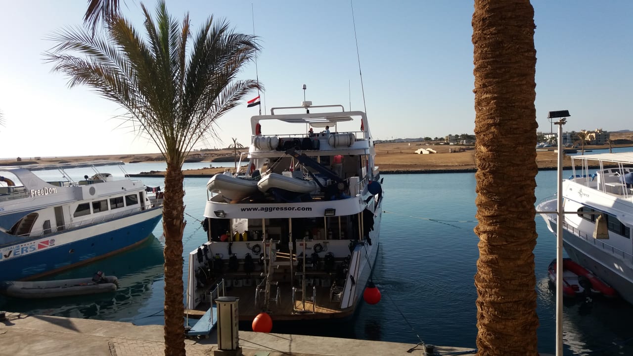 Sonstiges Marina Resort Port Ghalib, a member of Radisson Individuals
