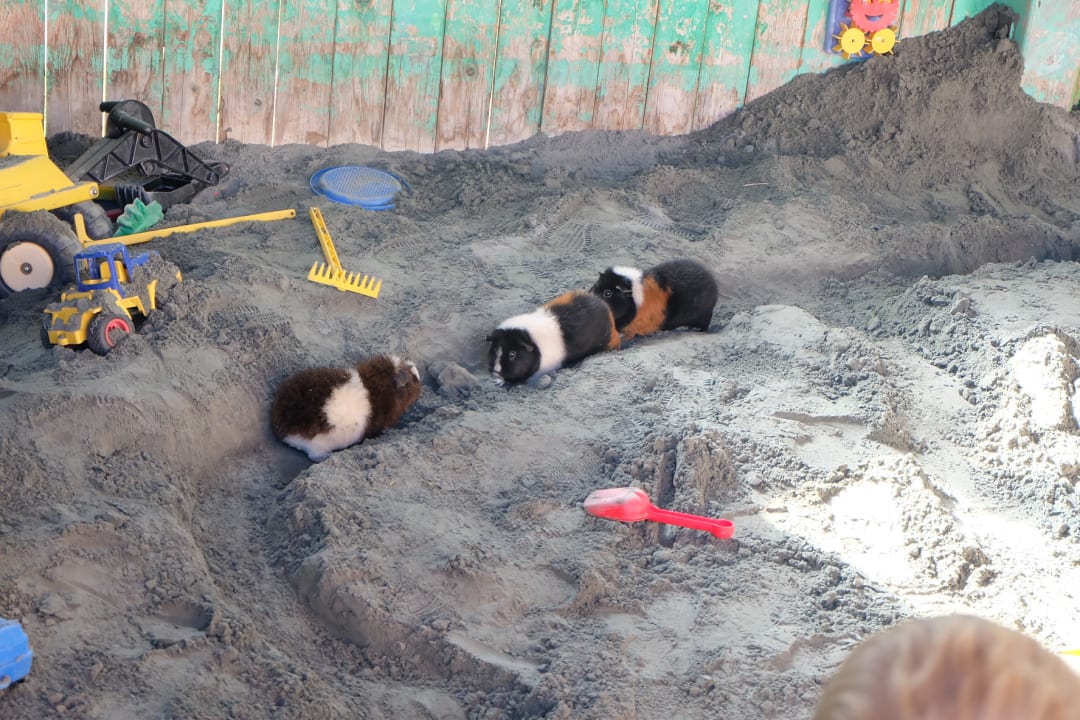 Sport & Freizeit Kinderhotel Felben