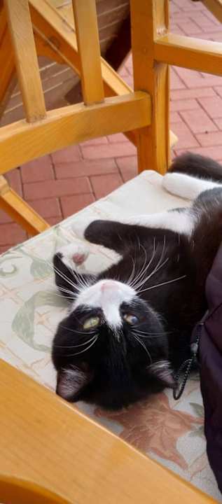 Zimmer Hotel Defne Garden