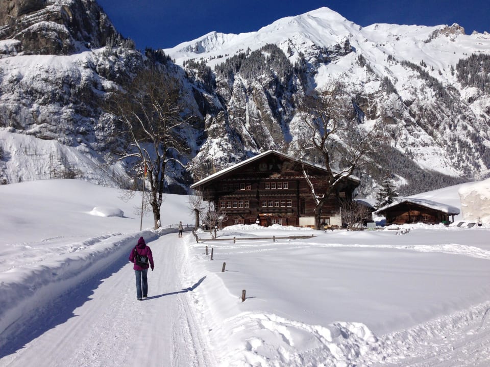 Ruedihus mit seperatem Chalet 'Liebeslaube' Waldhotel Doldenhorn & Landgasthof Ruedihus