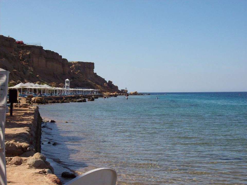 Blick vom Strand Albatros Sharm Resort