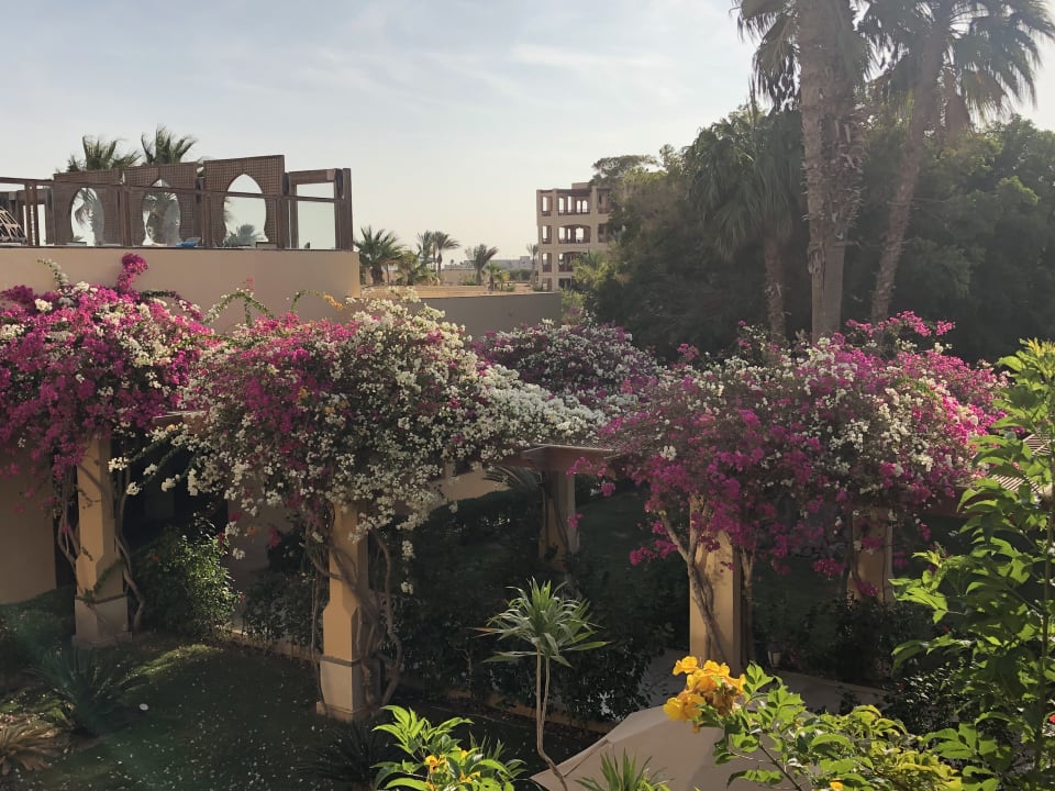 Gartenanlage ROBINSON SOMA BAY