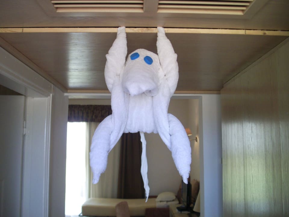 Ein Affe Hotel Gorgonia Beach Resort