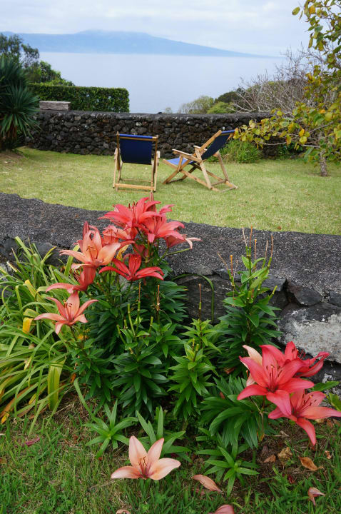 Garten Guesthouse Jardim do Triangulo