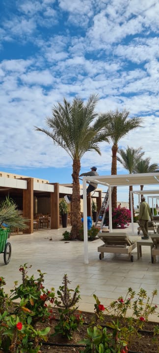 Ausblick Steigenberger Makadi Hotel - Adults only