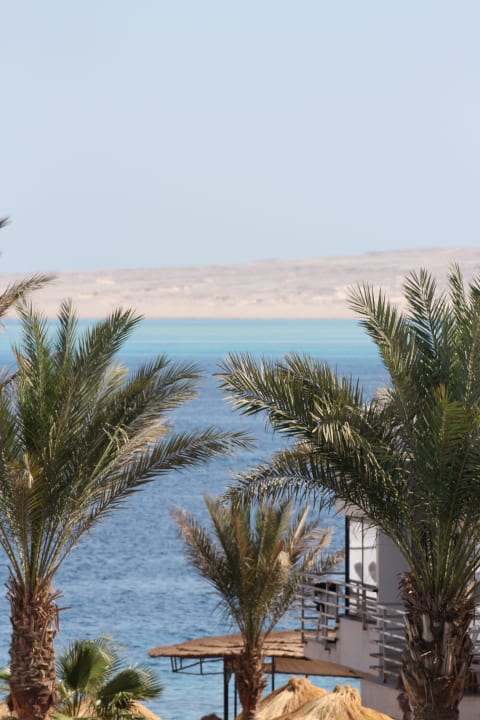 Meerblick vom Balkon Seagull Beach Resort