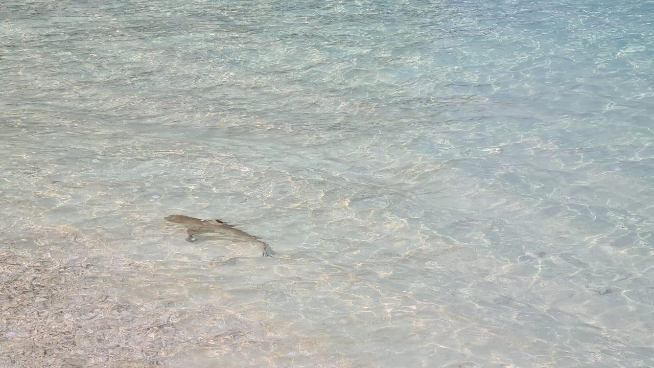 Strand Outrigger Maldives Maafushivaru Resort