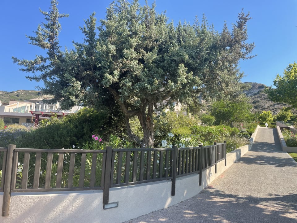 Gartenanlage Blue Lagoon Village