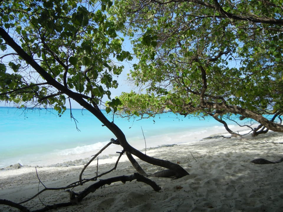 Malediven pur ! Kuramathi Maldives