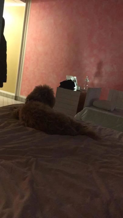 Bett The Marmara Antalya Hotel