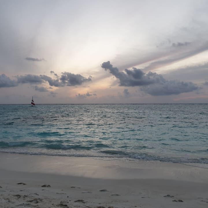 Pool Summer Island Maldives