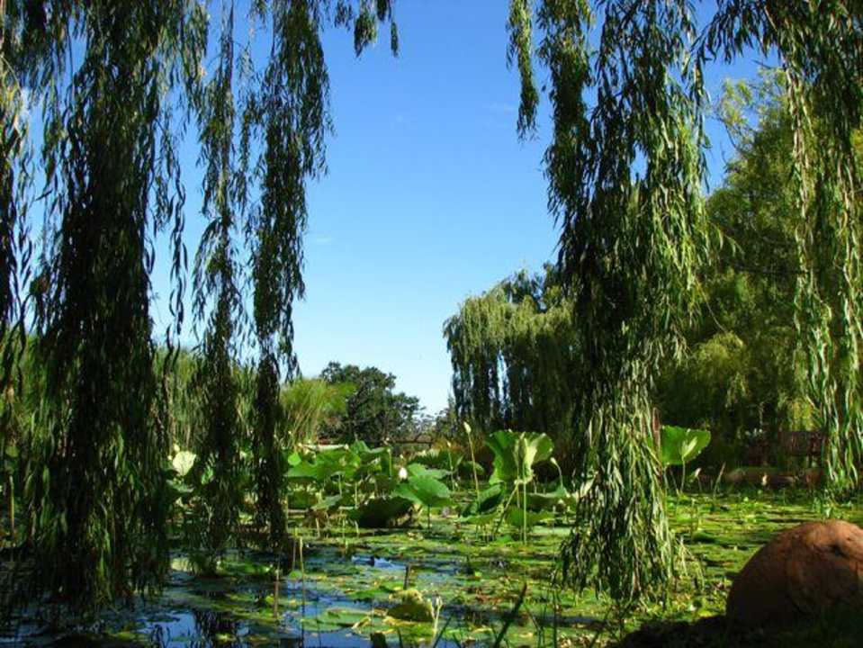 Garten Rothman Manor