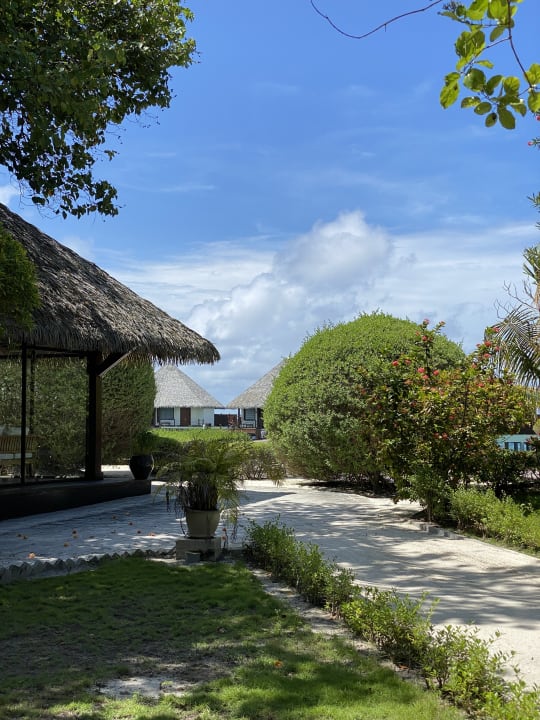 Gartenanlage Adaaran Select Meedhupparu Island Resort - Premium All Inclusive
