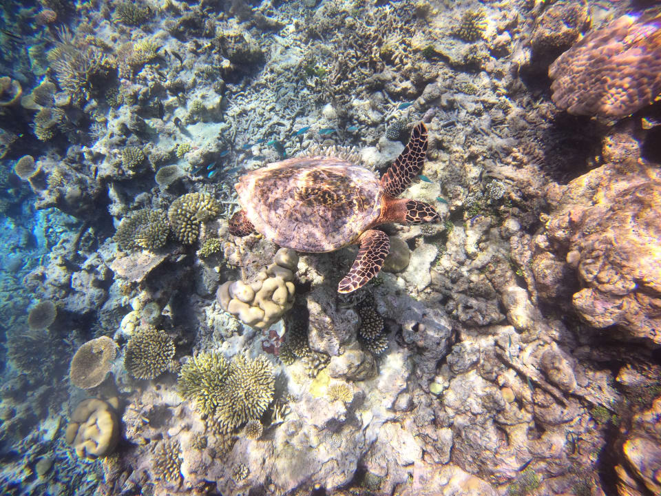 Sport & Freizeit NH Collection Maldives Havodda Resort