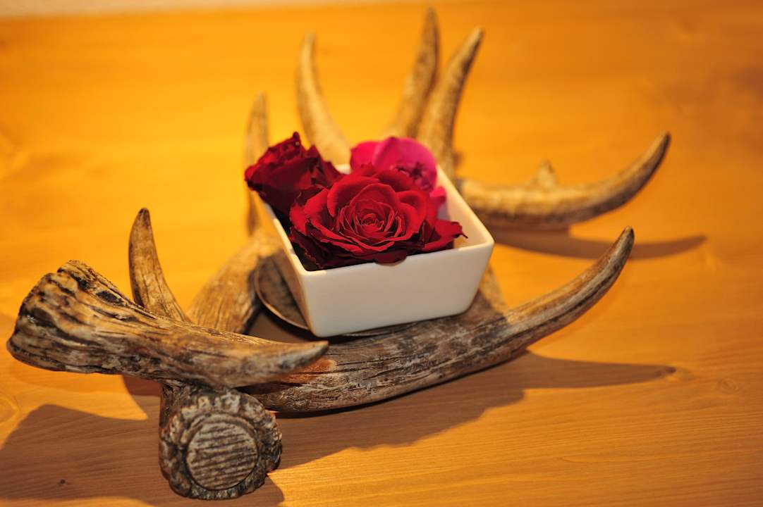 Detail Chesa Staila Hotel - B&B