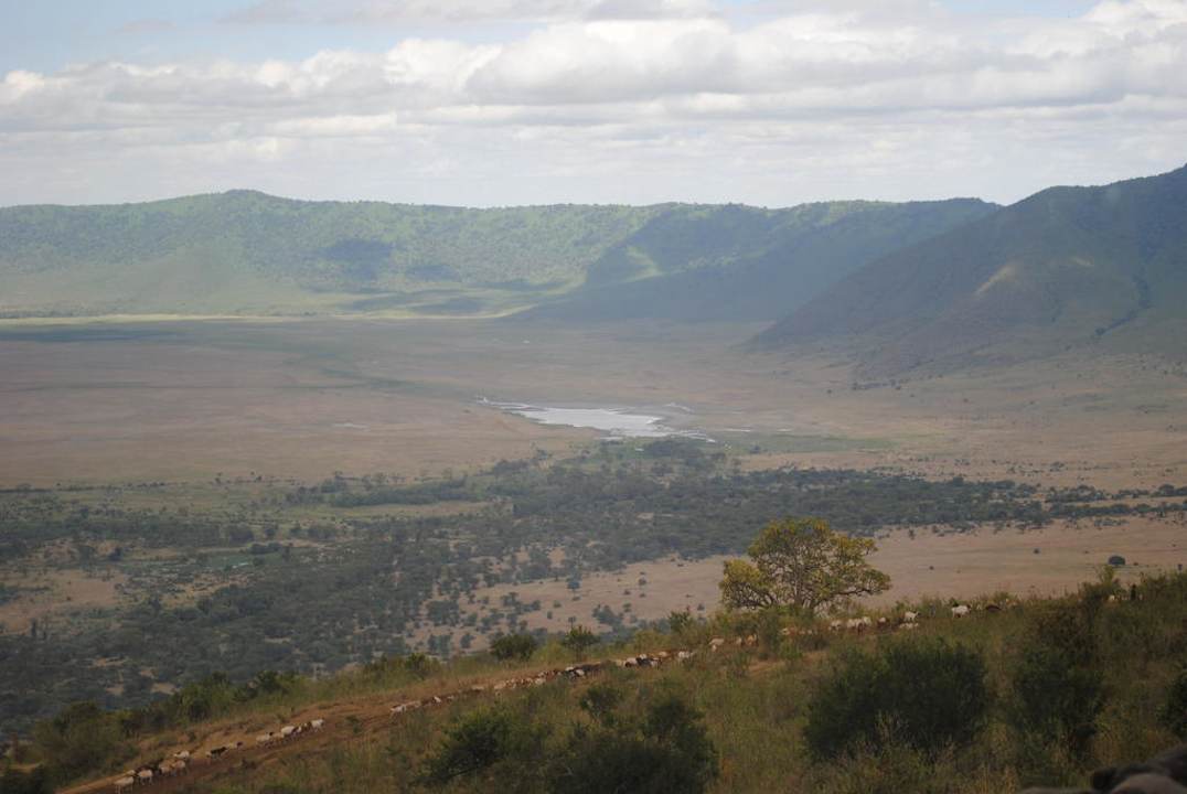 Ausblick Hotel Ngorongoro Serena Safari Lodge