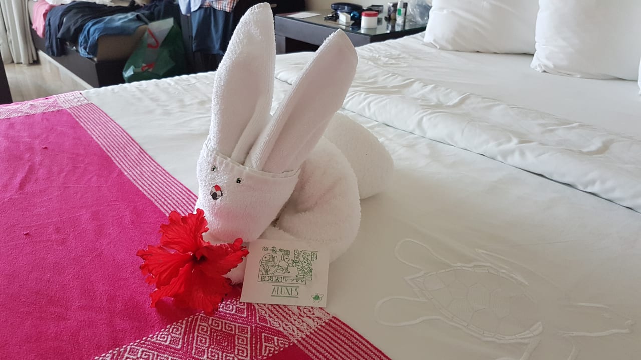 Zimmer Akumal Bay Beach & Wellness Resort