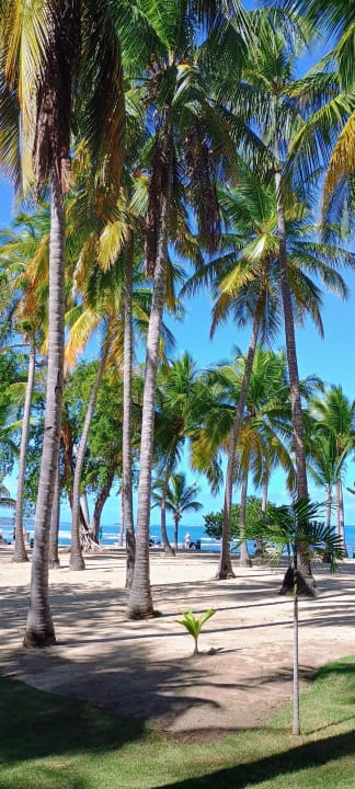 Strand Playabachata Hotel