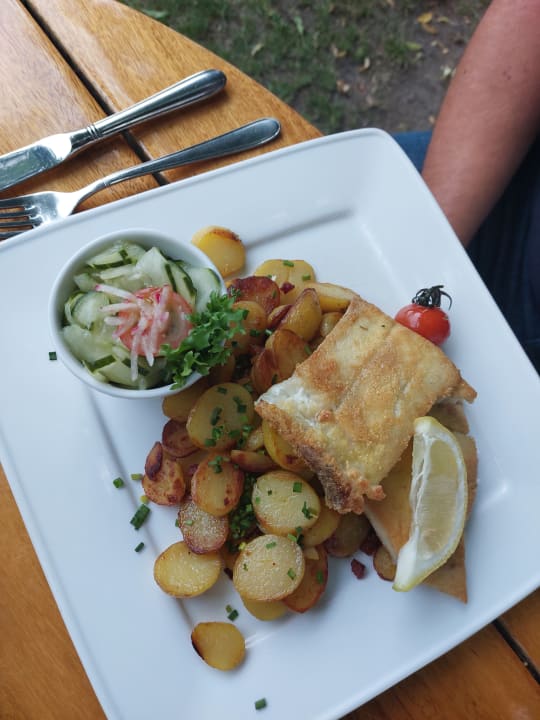 Gastro Gasthaus zum Frohsinn